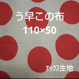 コットン こばやし　生地　う早この布　日本製　ドット　水玉　うさこの布　オックス