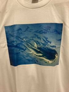 セクシーガールＴシャツ お魚