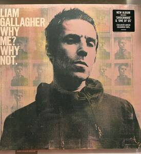 未開封 LIAM GALLAGHER WHY ME? WHY NOT レア コークボトル グリーンカラー 限定盤 140g Oasis リアム