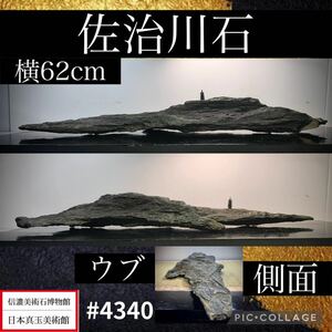 【信濃美術石博物館】水石 盆栽 佐治川石 ウブ 横62×高8(cm)5.3kg 骨董盆石古美術鑑賞石観賞石太湖石中国古玩 4340