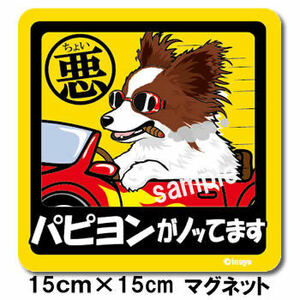 新品★ちょい悪マグネット★パピヨン茶★車に♪★犬雑貨