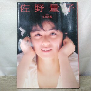 g_t Z885 写真集 ワニブックス 写真集 「佐野量子 写真集 撮影:小沢忠恭」1988年発行