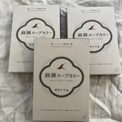 はなのさと　今井華さんプロデュース　麻辣スープカレー 3個セット