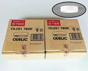 [未開封品 2点セット] ODELIC オーデリック 小型シーリングライト LED OL251 780R 人感センサー付き [西那須野店]