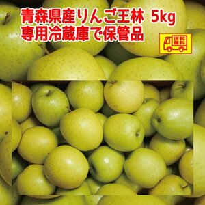 青森県産　訳あり　家庭用　りんご王林5kg