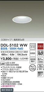 DAIKO LEDダウンライト　防雨型　２個セット 大光電機　DDL-5102WW