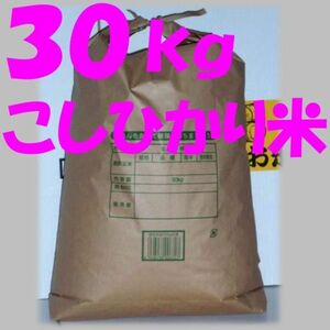 【複数OK】【引取りOK／配達可能】約 30kg　こしひかり米　玄米　令和5年産 (2023年産) お米　コシヒカリ米 こしひかり