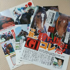  お宝 「’99秋の勝ち馬はコレだ」テイエムオペラオー アドマイヤベガ スペシャルウィーク グラスワンダー 他 切り抜き　ページ