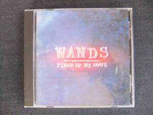 CDアルバム-4　　　WANDS　　　PIECE OF MY SOUL　　ワンズ　　　　歌手　　音楽　バンド