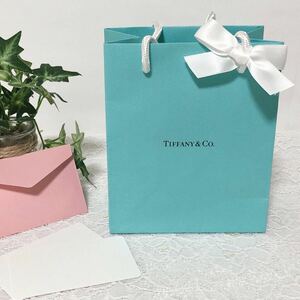 ティファニー「TIFFANY&Co.」ミニショッパー アクセサリー箱サイズ 現行 (3953) 正規品 付属品 ショップ袋 ブランド紙袋 折らずに配送 