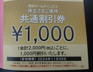 西武ホールディングス 株主優待 共通割引券 15,000円分