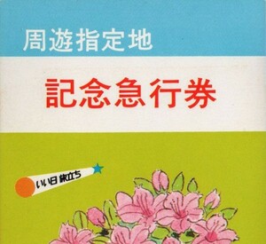 周遊指定地記念急行券　久留米駅発行　昭和54年　国鉄門司鉄道管理局