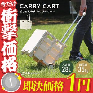 【1円】キャリーカート 折りたたみ 階段 ワゴン 台車 ショッピングカート 容量28L 大容量 耐荷重35kg キャスター付 フタ付 アウトドア 台車