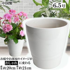 植木鉢 おしゃれ 安い 陶器 サイズ 20cm MBC19 6.5号 ホワイト 室内 屋外 白 色