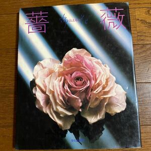 山上るい 布花 薔薇 