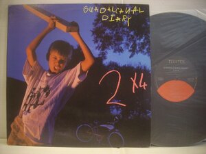 ● 輸入USA盤 LP GUADALCANAL DIARY / 2×4 ガダルカナル・ダイアリー オルタナ インディーロック 1987年 ◇r50317