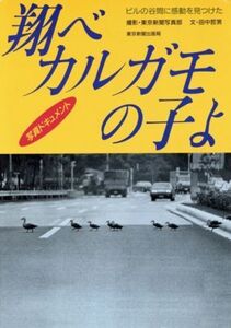 翔べカルガモの子よ ビルの谷間に感動を見つけた 写真ドキュメント/田中哲男(著者),東京新聞(著者)