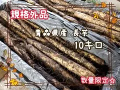 ☆数量限定☆秋掘り長芋 10キロ 規格外品 青森県産 農家直送 新鮮