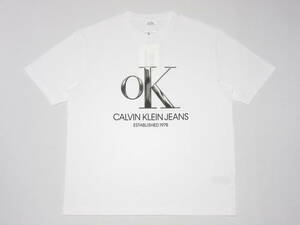 新品 CALVIN KLEIN JEANS EST.1978(カルバンクラインジーンズ エスタブリッシュド1978)Tシャツ☆Raf Simons(ラフシモンズ)