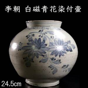 ◆錵◆ 李朝時代 白磁製 花文窓絵染付壷 24.5cm 提灯壷 朝鮮古陶 唐物骨董 [A393NCHA]PUQ/24.7廻/YS/(140)