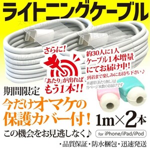 iPhone充電器 ライトニングケーブル 2本 1m 純正品質 アップル Apple 充電アダプターケーブル USBケーブル TypeA タイプA アイフォーン用