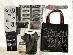 【抜けなし】Stray Kids アップグレードチケットオリジナルグッズ　京セラ