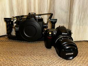 SEA&SEA Nikon ニコン D50 バウジングケース 水中カメラケース カメラケース D50専用 セット販売