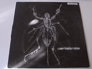 Various - Vertebrate / 8th Wonder . Broken Haze . IDM . Breakbeats