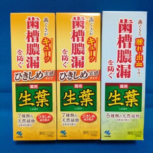 【3本セット】新品★薬用ハミガキ 生葉 ひきしめ実感 100g 歯槽膿漏を防ぐ 小林製薬 歯磨き粉