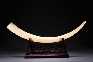 【善古堂】某有名オークション買入 時代物 特種白材 最高級血料一本材置物83CM/3.2㎏ 豪華芯料使用 骨董品 古美術＃2　