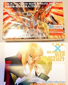 ガンプラ 未組立 ガンダムSEED DESTINY デスティニー 30th T.M.Revolution 西川貴教 限定 希少 ミゲル ハイネ ポスター付き