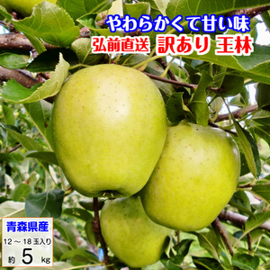 王林 おうりん オウリン 訳あり 5kg 青森産 リンゴ 林檎 りんご 葉とらずりんご