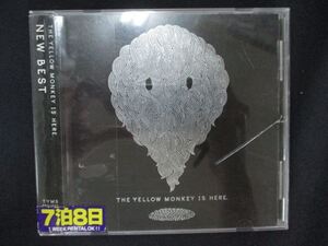 1170∴レンタル版CD THE YELLOW MONKEY IS HERE. NEW BEST/THE YELLOW MONKEY