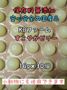 KBファーム すこやかゼリー 国産ゼリー16g 30個 カブトムシ クワガタ 昆虫