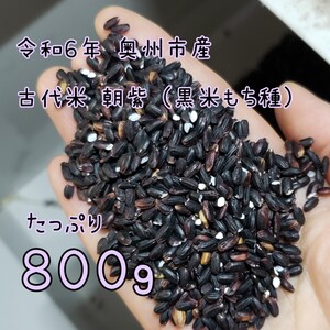 古代米『黒米』朝紫 800g 自家栽培 岩手県産 奥州市産 自家製米 天日干し 令和６年産