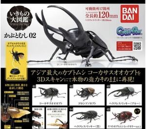 ガシャポン いきもの大図鑑 かぶとむし 02 全5種セット。未開封品。