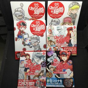 絵本 はたらく細胞 1〜3巻　めくって学べる！からだのしくみ　人体のふしぎ図鑑　ウィルス&細菌図鑑　全6冊セット　刷数:1,2,1-2-16,4