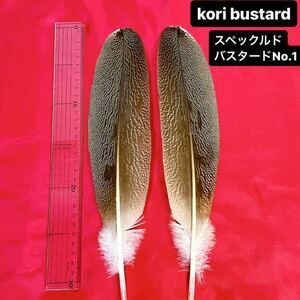 【CANAL】Kori Bustard XL(スペックルドバスタード) No.1フライマテリアル 毛鉤 釣り