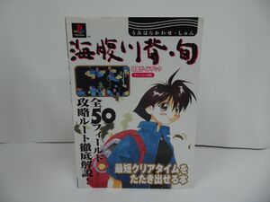 ★攻略本【海腹川背・旬攻略ガイドブック】 全50フィールド攻略ルート徹底解説