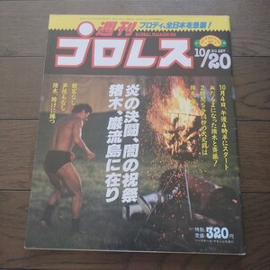 週刊プロレス昭和62年10月20日 227号