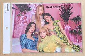 BLACK PINK ブラックピンク Kポップ のラミネート加工写真 A4サイズ　下敷きとしても