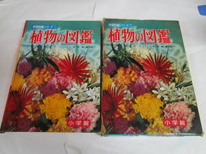 【昭和レトロ】植物の図鑑　学習図鑑シリーズ1　本田正次　牧野晩成　小学館　昭和42年5月10日　重版