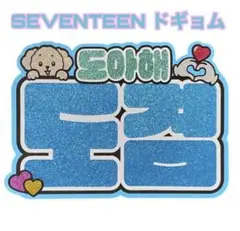 SEVENTEEN ドギョム　うちわ文字　ネームボード