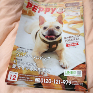 peppy dogs 2016 秋冬号