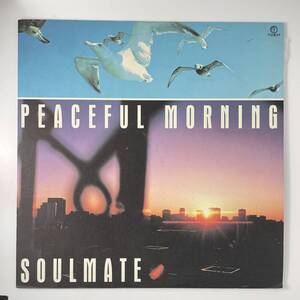 Soulmate - Peaceful Morning