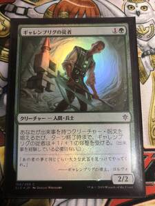 ギャレンブリグの従者 foil エルドレインの王権 日本語 マジックザギャザリング MTG