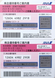 送料無料【未使用】全日空 ANA★株主優待券 株主割引券★2025年5月31日まで★2枚セット★コード通知可