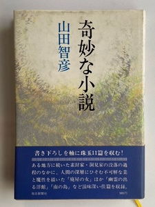 山田智彦　奇妙な小説