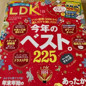 ＬＤＫ（エルディーケー） ２０２５年１月号 （晋遊舎）小冊子あり