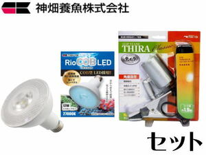 カミハタ リオコブ LED 12W シャローブルー RioCOBLED　クリップスタンドティラセット 管理80